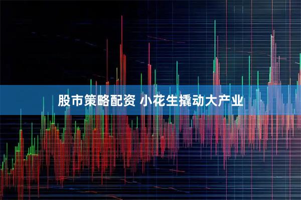 股市策略配资 小花生撬动大产业