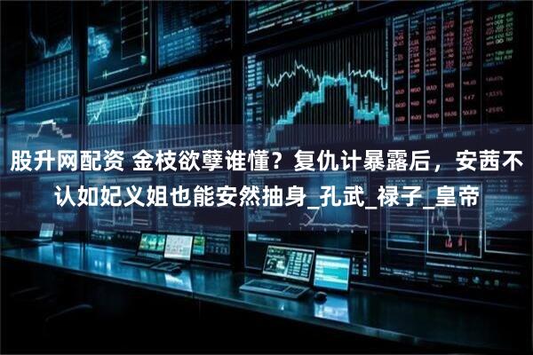 股升网配资 金枝欲孽谁懂？复仇计暴露后，安茜不认如妃义姐也能安然抽身_孔武_禄子_皇帝