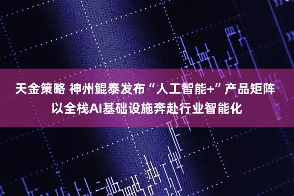天金策略 神州鲲泰发布“人工智能+”产品矩阵 以全栈AI基础设施奔赴行业智能化