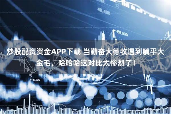 炒股配资资金APP下载 当勤奋大德牧遇到躺平大金毛，哈哈哈这对比太惨烈了！