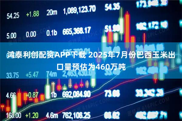 鸿泰利创配资APP下载 2025年7月份巴西玉米出口量预估为460万吨