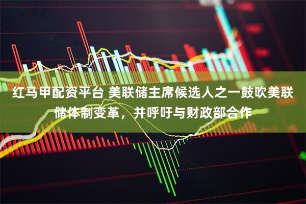 红马甲配资平台 美联储主席候选人之一鼓吹美联储体制变革，并呼吁与财政部合作