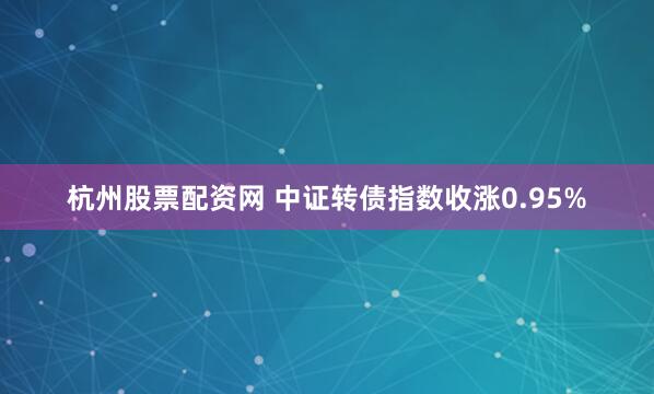 杭州股票配资网 中证转债指数收涨0.95%
